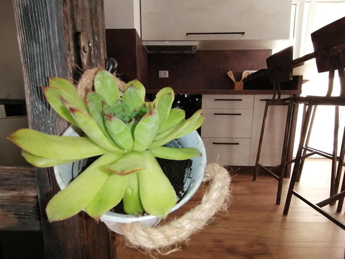 Kiko Apartament *